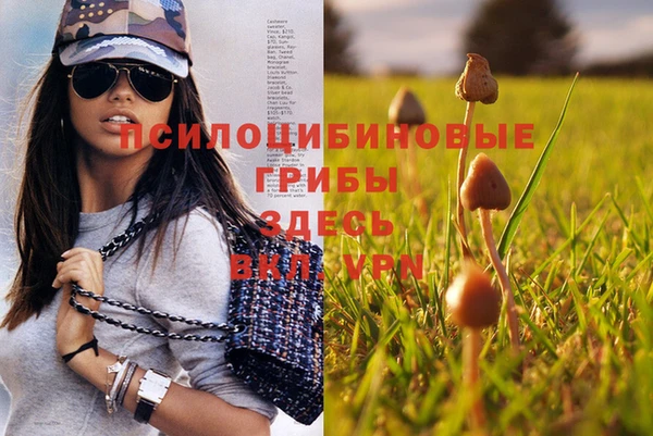прущая мука Новозыбков
