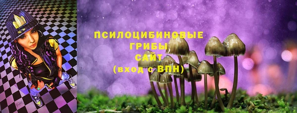 прущая мука Новозыбков