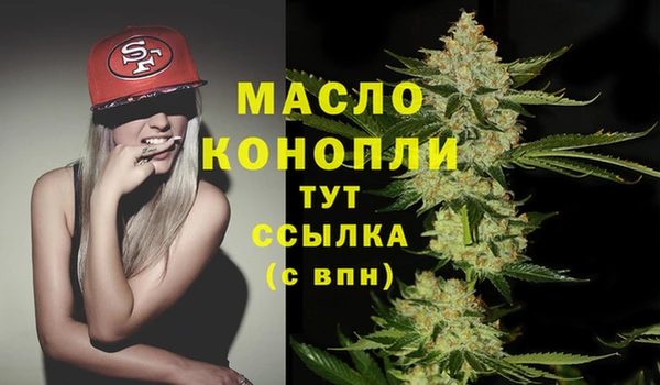 spice Богородск
